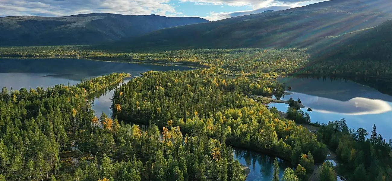 Aerial view of pine forests and lakes in northern Sweden, golden light