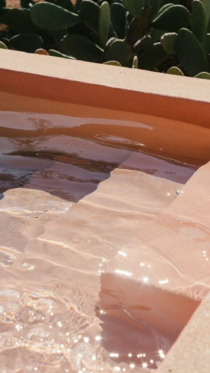 A terracotta-edged pool with sparkling water and prickly pear cactus