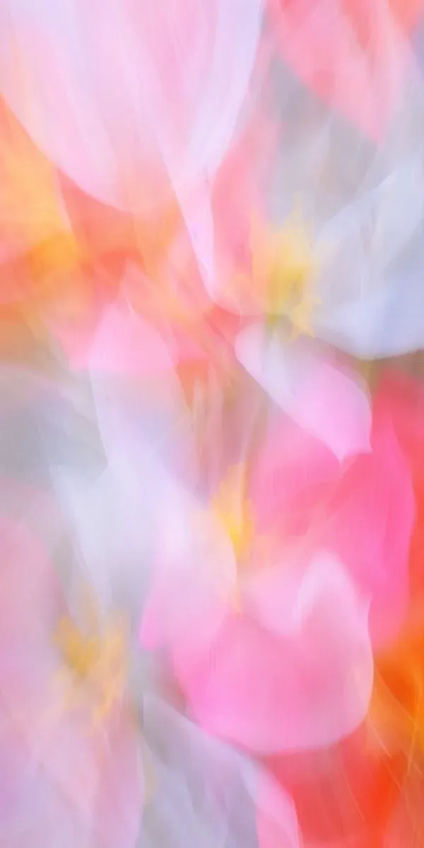 Soft-focus flowers in pink, coral, and white