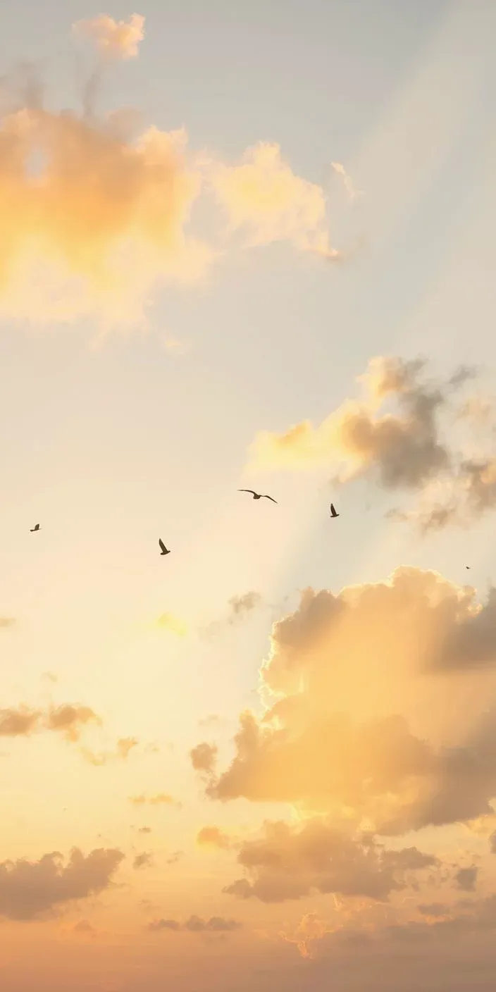 Golden sunrise sky with birds in flight through warm clouds